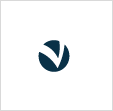 Favicon_VIZER_Azul